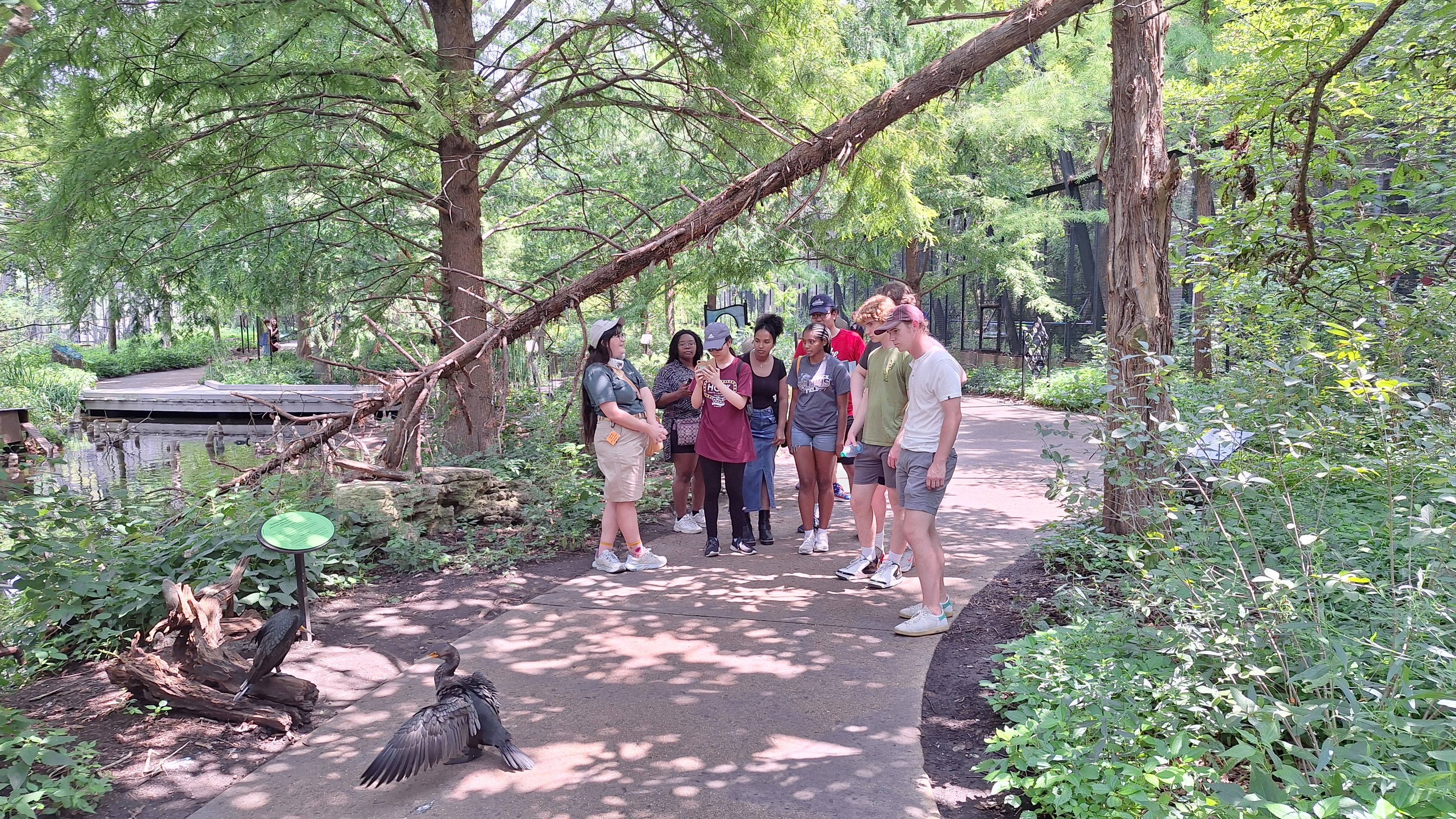 a group of people outdoors looking at a bird