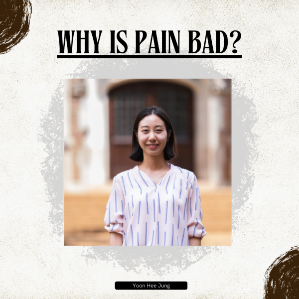 Why is Pain Bad?