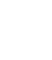 WUSTL Shield, decorative