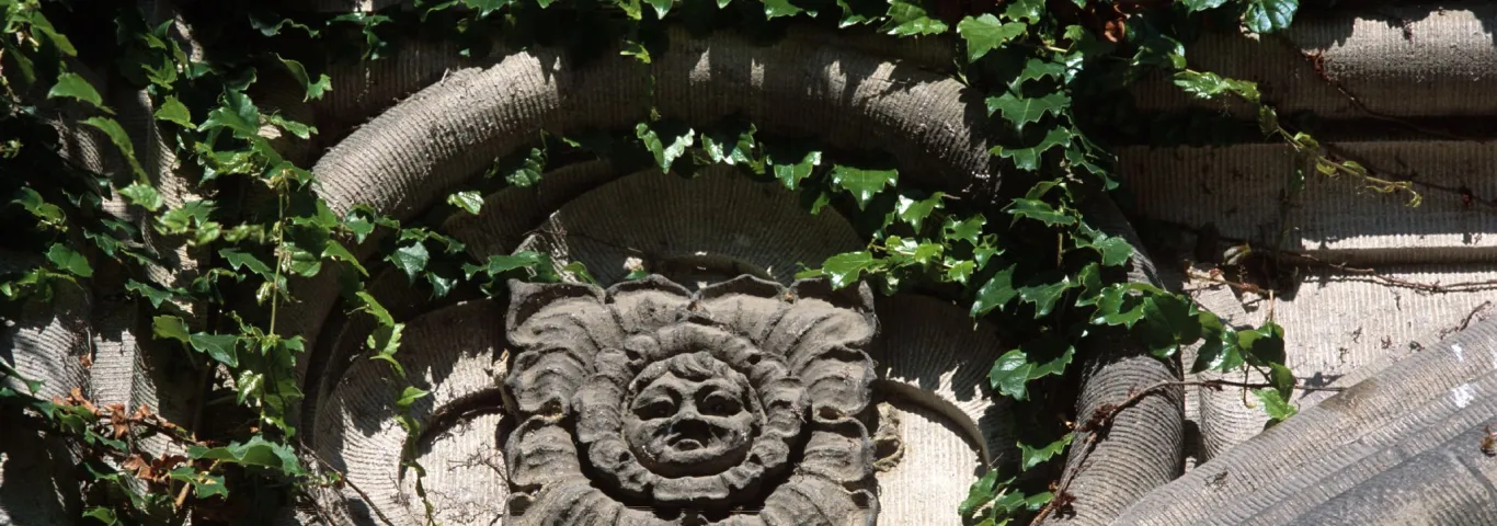 Welcome new McDonnell Postdoctoral Fellows!