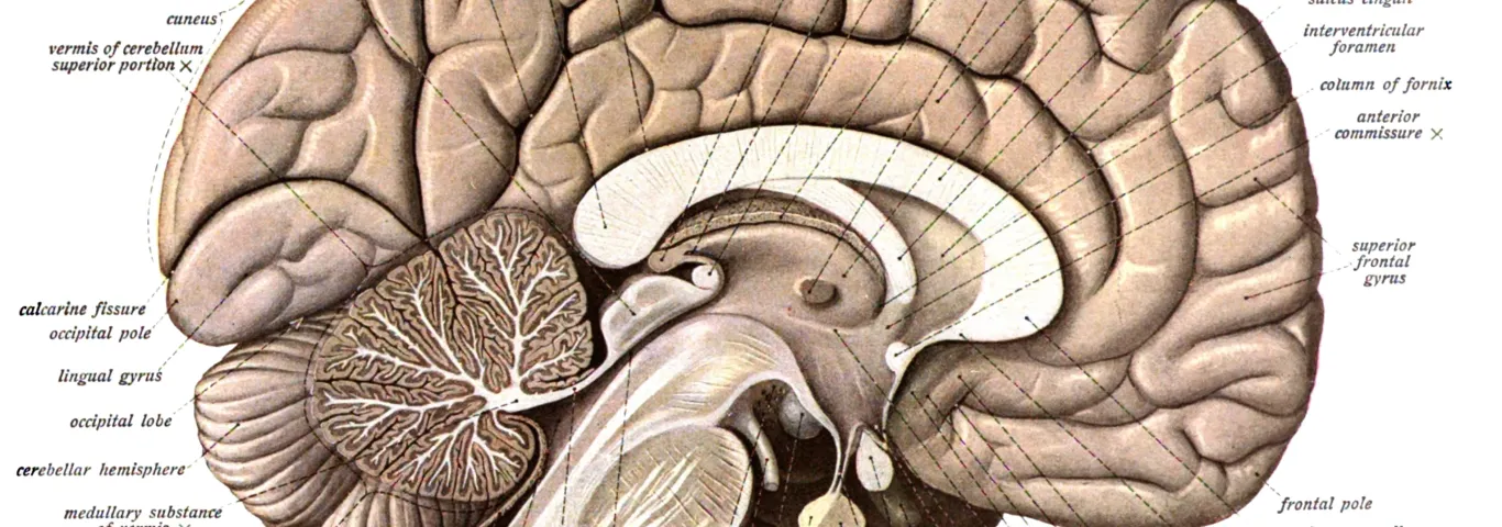 Siegel and Craver's "Phenomenal Laws and Mechanistic Explanations" to appear in Philosophy of Science